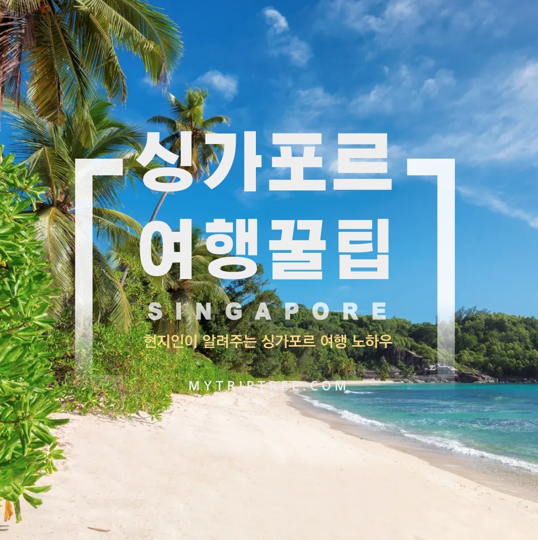 싱가포르 여행 꿀팁 ! 현지인이 알려주는 노하우 11가지 16 싱가포르 여행 꿀팁 ! 현지인이 알려주는 노하우 11가지
