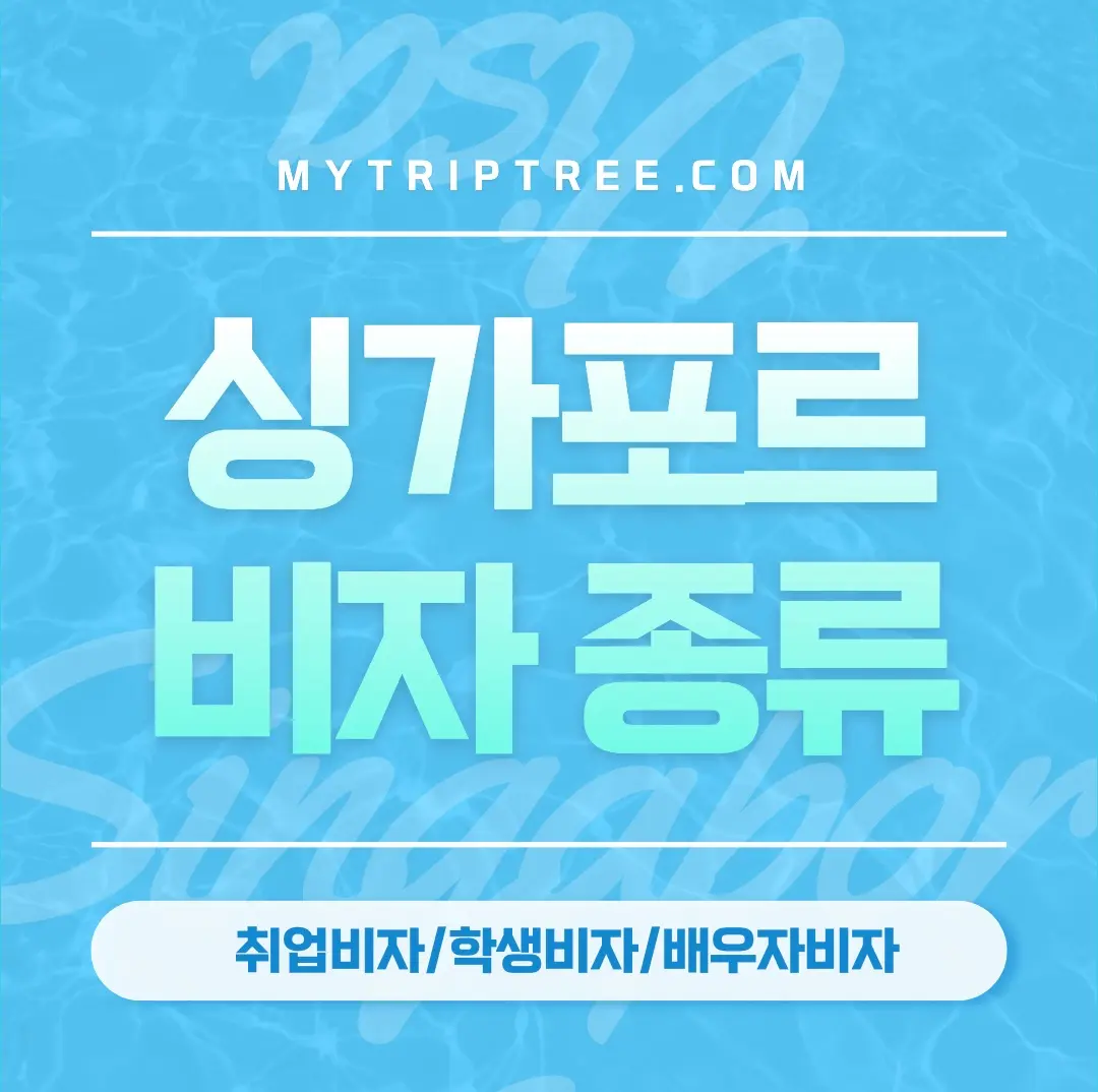 2026년 싱가포르 비자 종류 총정리 (EP, SP, LTVP, ONEPASS, STP, DP)