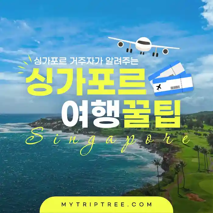 싱가포르 거주자가 알려주는 '아무도 모르는' 싱가포르 여행 꿀팁 Top7 (2026 최신) 21 싱가포르 거주자가 알려주는 ‘아무도 모르는’ 싱가포르 여행 꿀팁 Top7 (2026 최신)