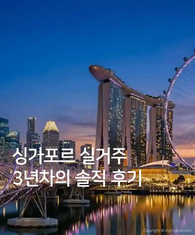 싱가포르에 살면 좋은 점/안좋은 점: 실거주 3년차의 솔직 후기 1 싱가포르에 살면 좋은점