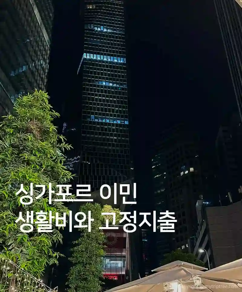 싱가포르 이민, 안정적인 생활비와 고정 지출 월 3,000만원?